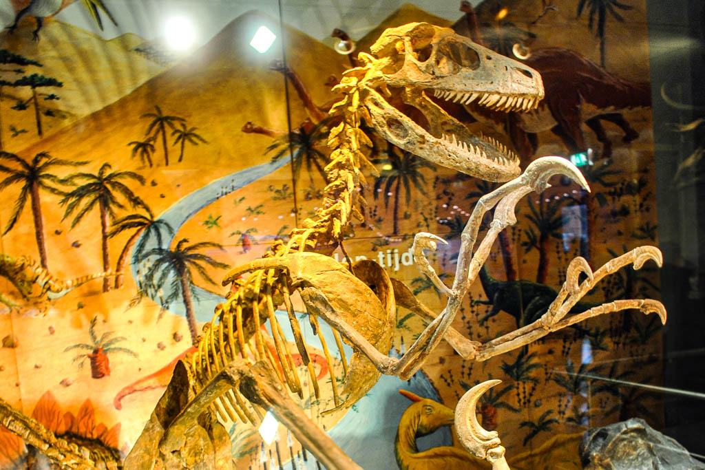 AMSTERDAM_PAISES_BAIXOS_amamosviajar -19-2