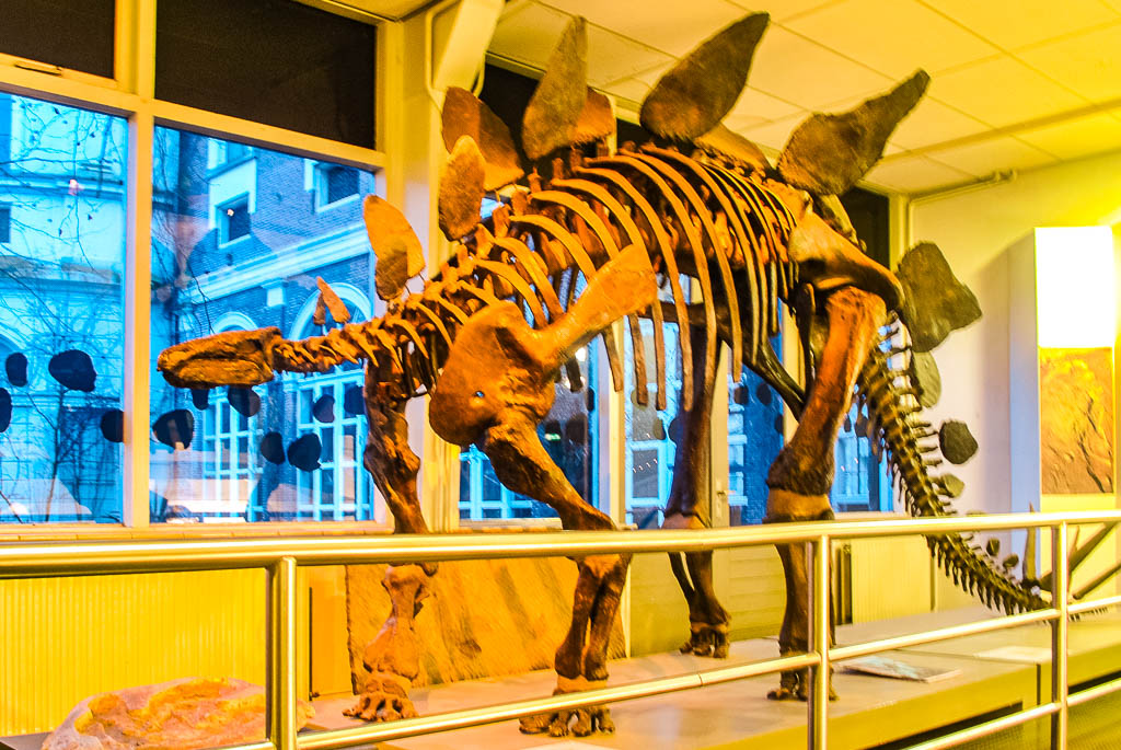 AMSTERDAM_PAISES_BAIXOS_amamosviajar -20