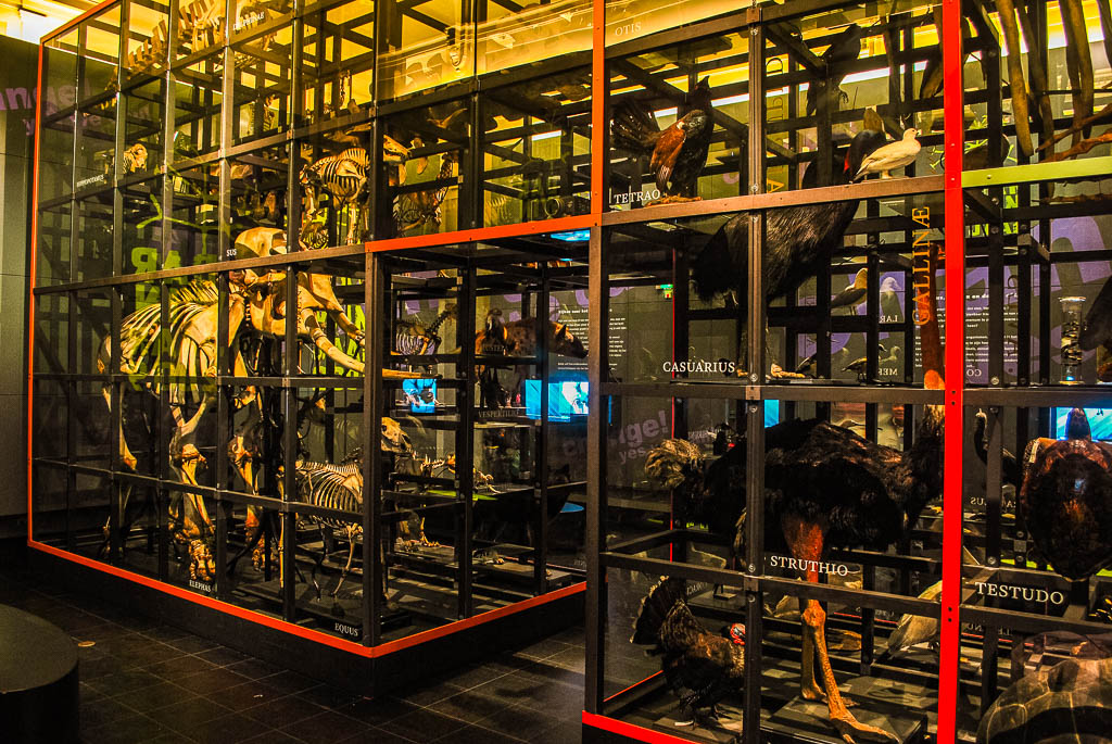 AMSTERDAM_PAISES_BAIXOS_amamosviajar -23