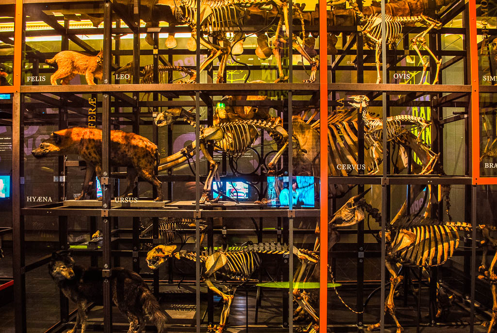 AMSTERDAM_PAISES_BAIXOS_amamosviajar -24