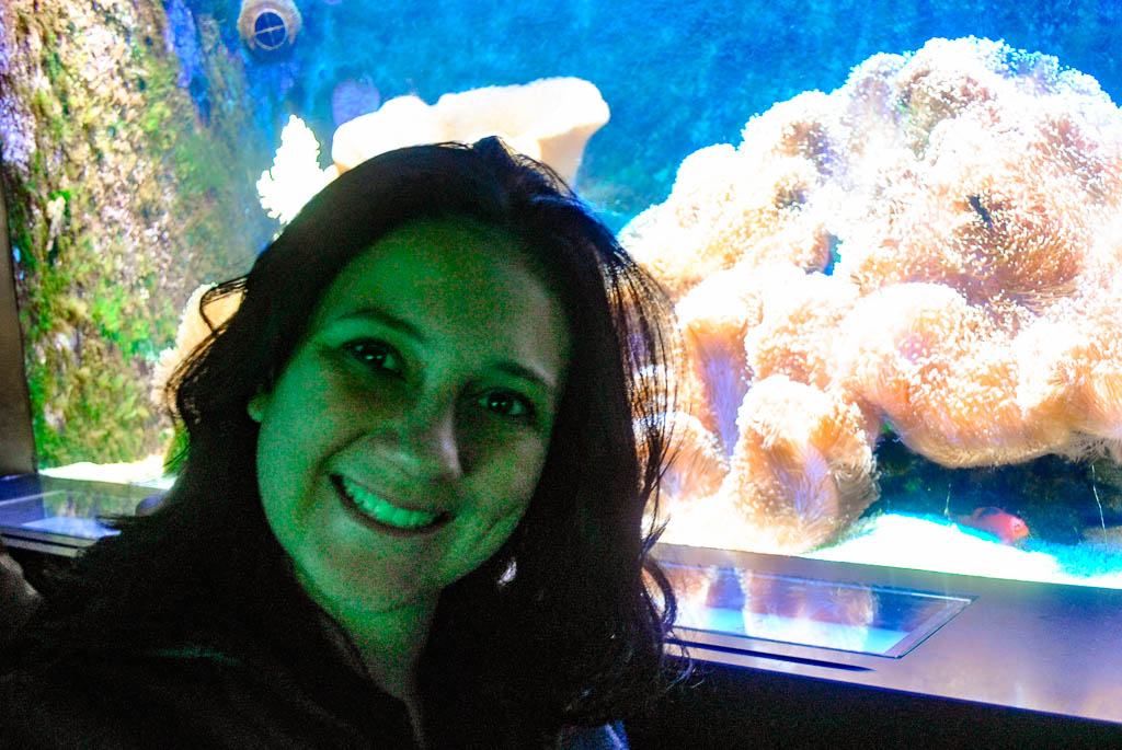 Amsterdam, Artis Zoo, Países Baixos, Holanda