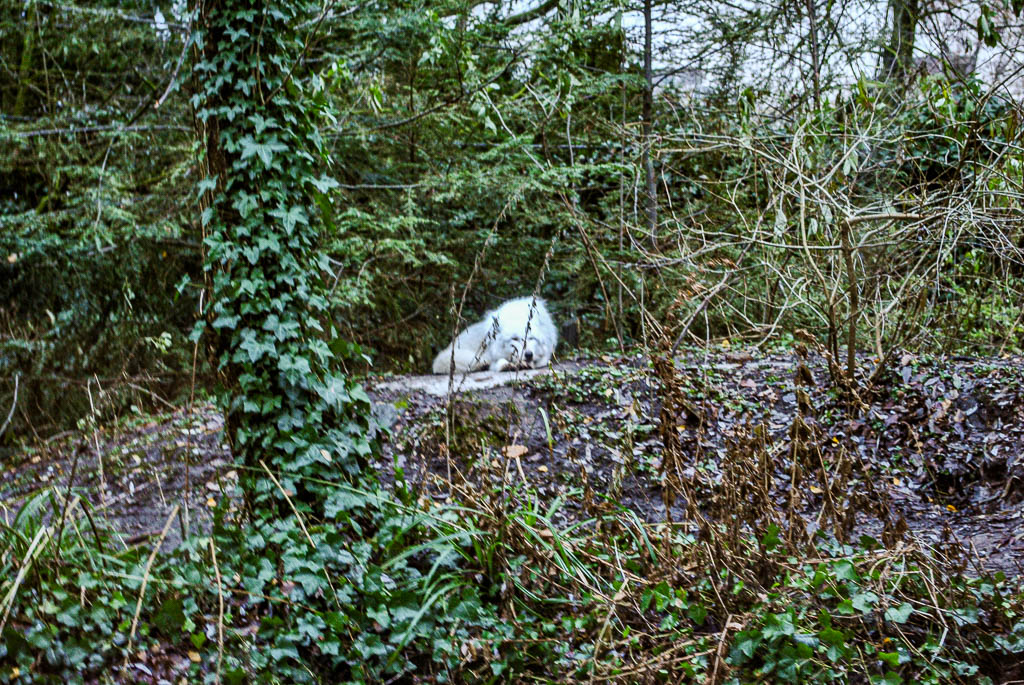 AMSTERDAM_PAISES_BAIXOS_amamosviajar -29