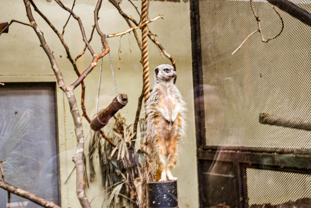 AMSTERDAM_PAISES_BAIXOS_amamosviajar -32