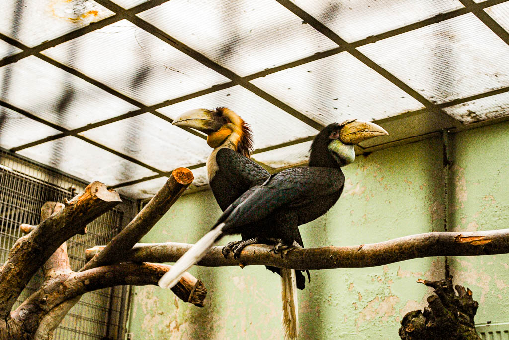 AMSTERDAM_PAISES_BAIXOS_amamosviajar -33