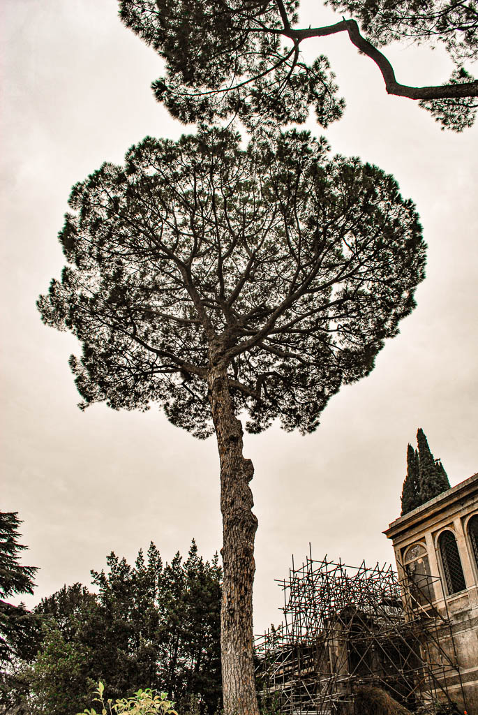 Roma Italia amamosviajar 092