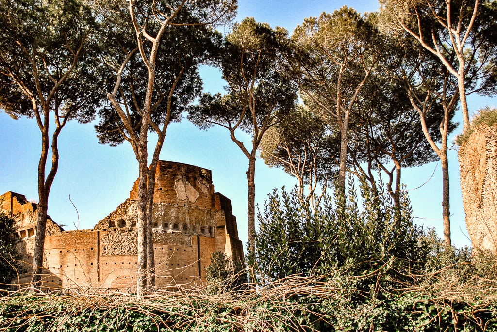 Roma_Italia_amamosviajar -167