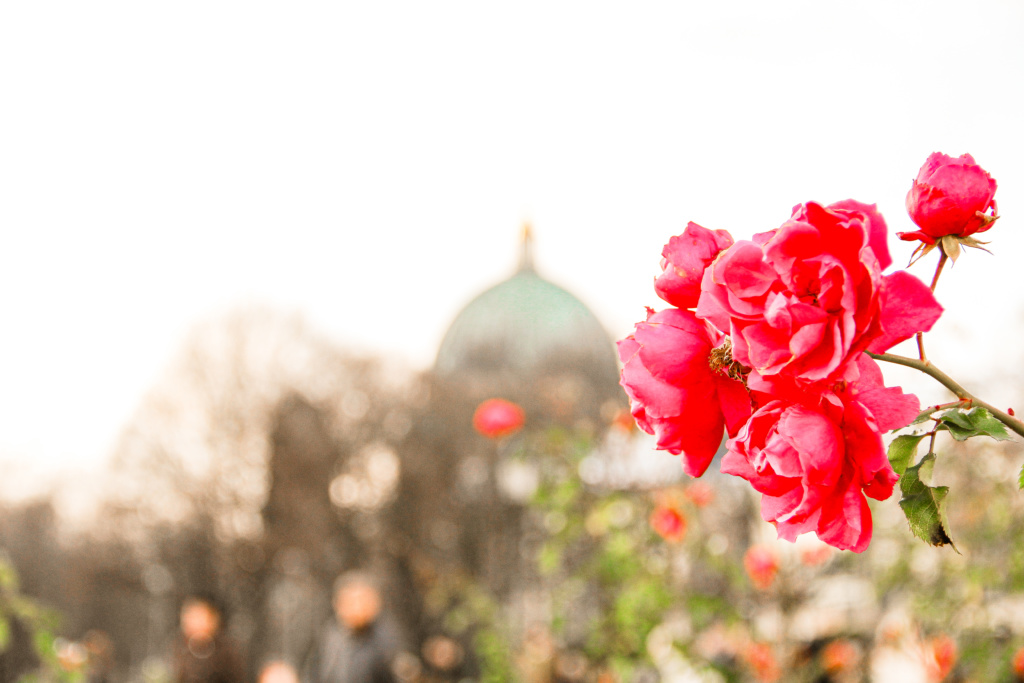 Berlim_Alemanha_amamosviajar -045