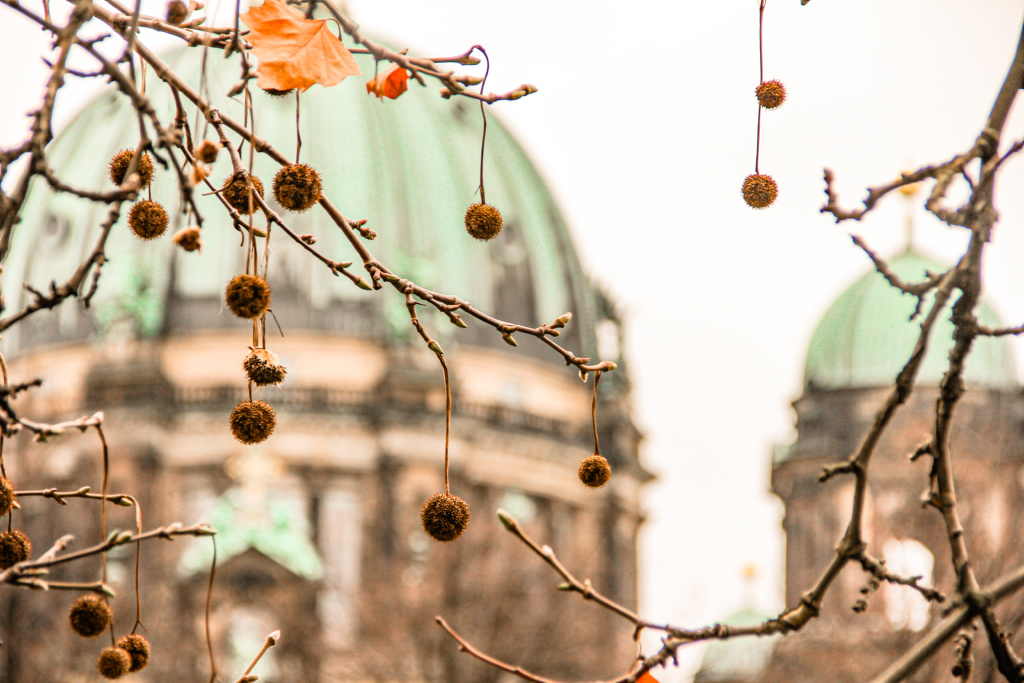 Berlim Alemanha amamosviajar 163