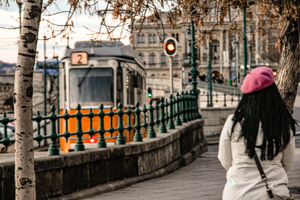 Budapeste Hungria amamosviajar 036