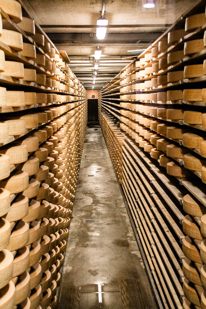 Gruyere_Suiça_amamosviajar -033