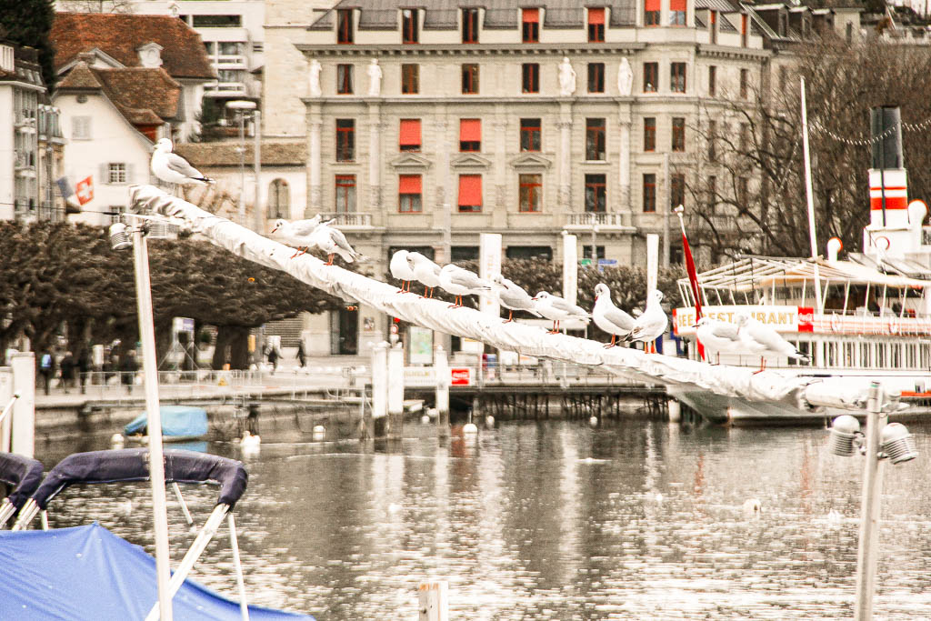 Lucerna Suica amamosviajar 44