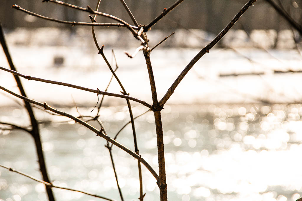 Munique_Alemanha_amamosviajar -125