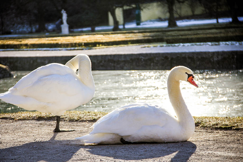 Salzburgo_Austria_amamosviajar -087