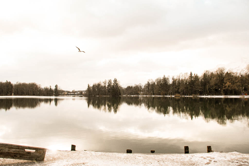 Salzburgo_Austria_amamosviajar -197