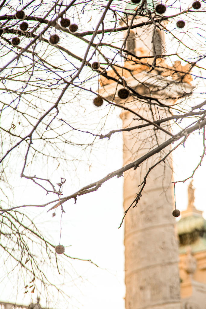 Viena_Austria_amamosviajar -052