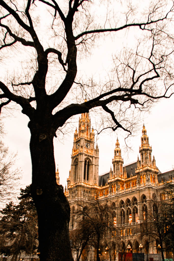 Viena_Austria_amamosviajar -116