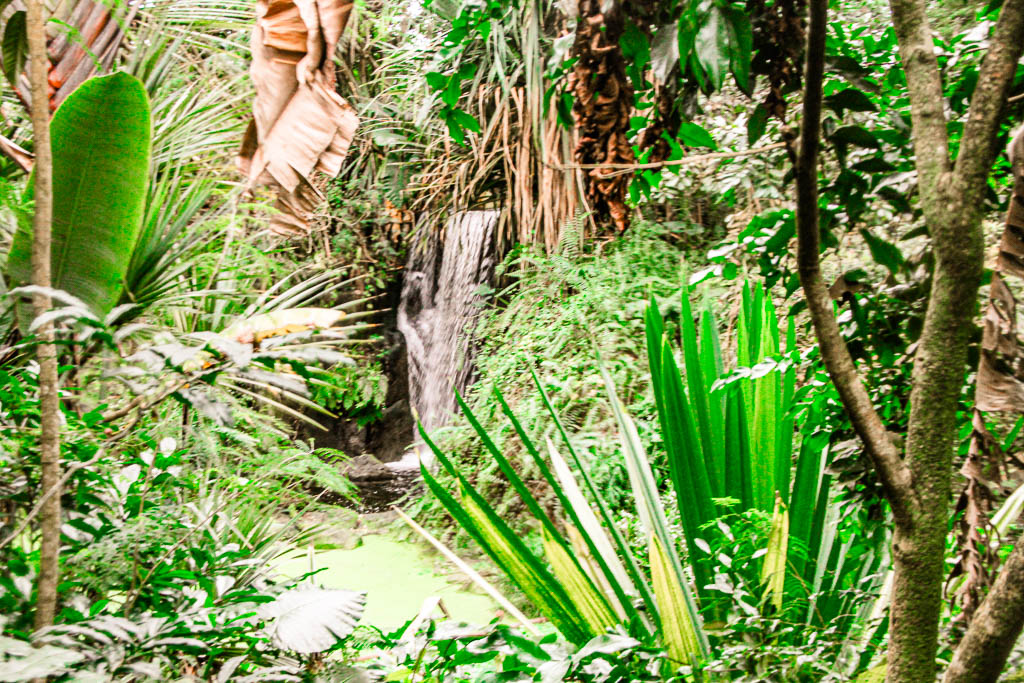 Zurique_Suiça_amamosviajar -008