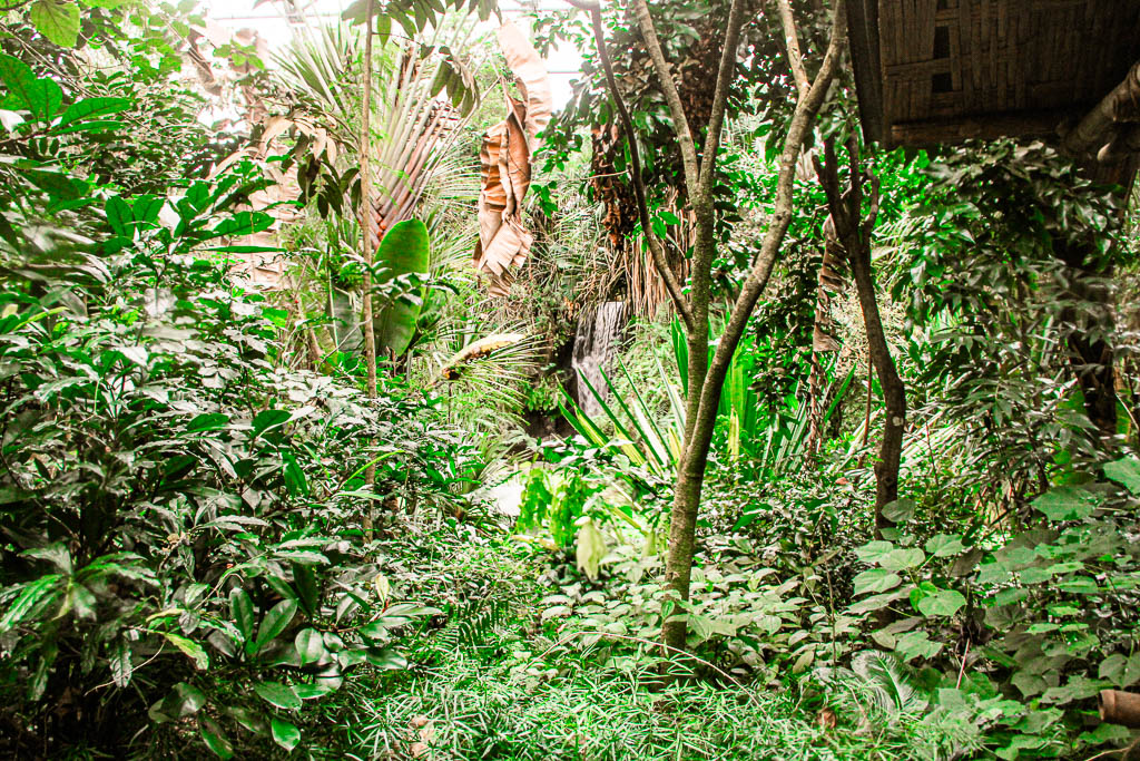 Zurique_Suiça_amamosviajar -009