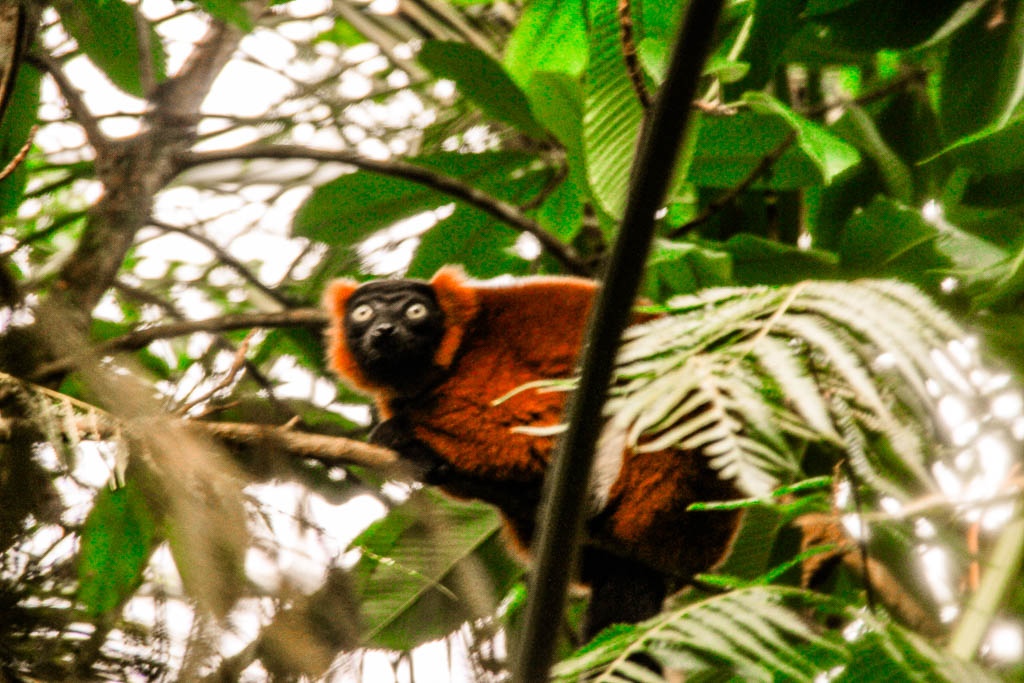 Zurique_Suiça_amamosviajar -010