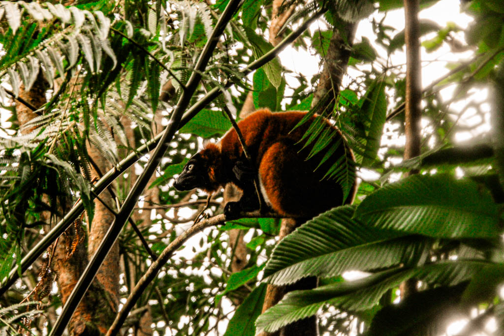 Zurique_Suiça_amamosviajar -011