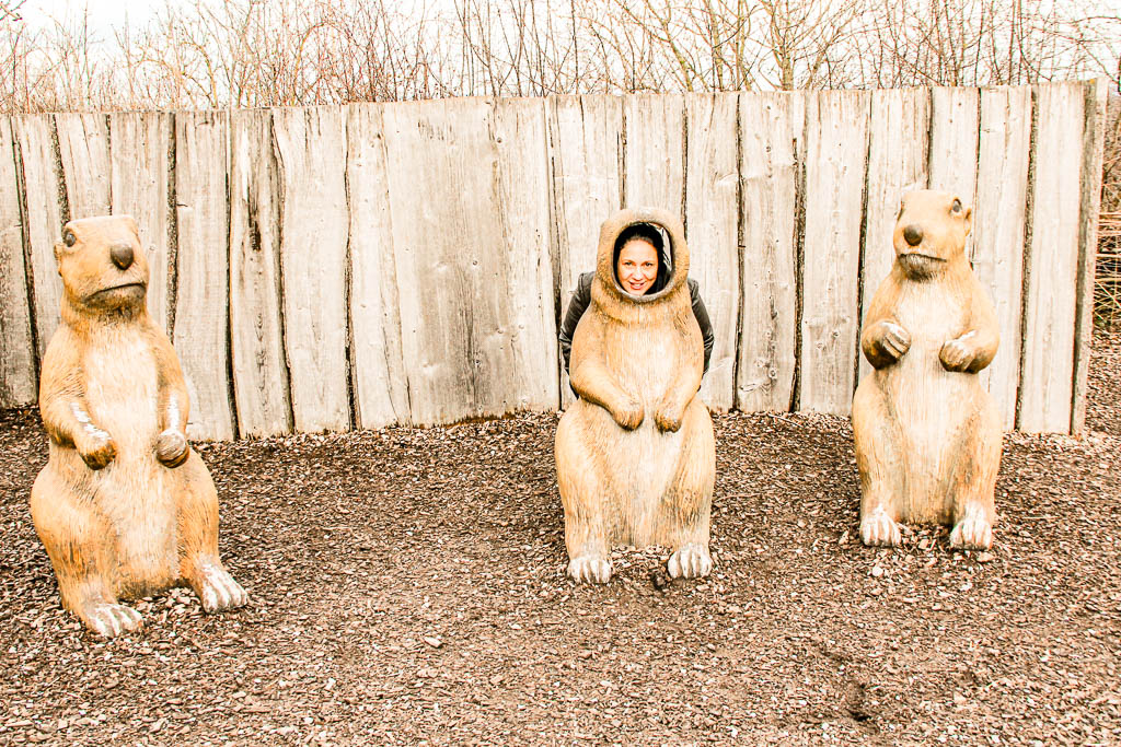 Zurique Suica amamosviajar 013