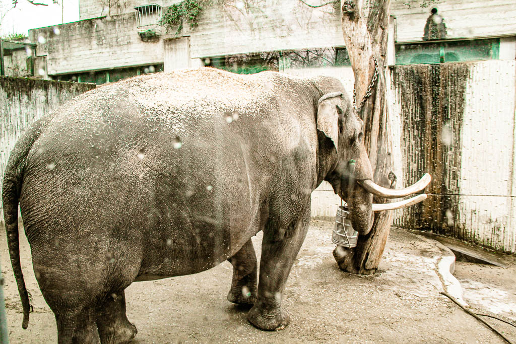 Zurique_Suiça_amamosviajar -025