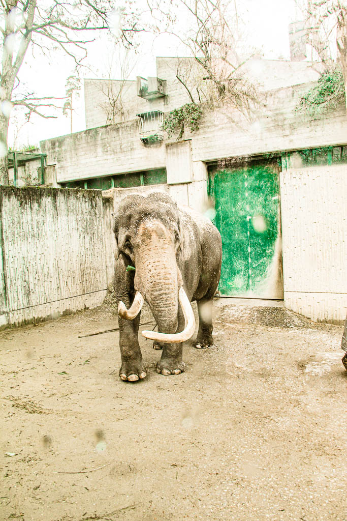 Zurique_Suiça_amamosviajar -026