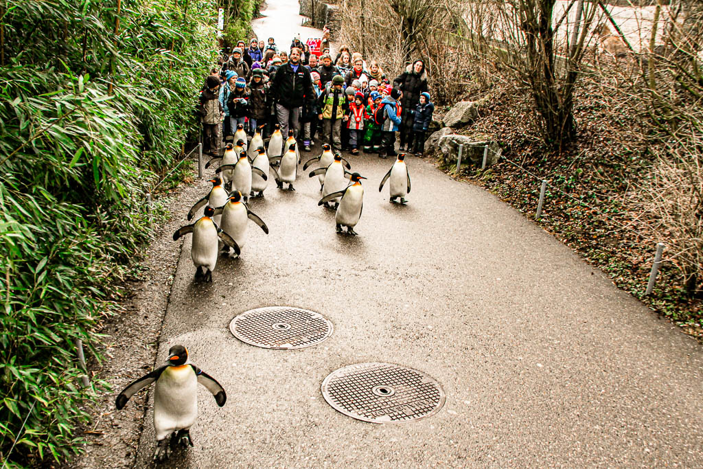 Zurique_Suiça_amamosviajar -030