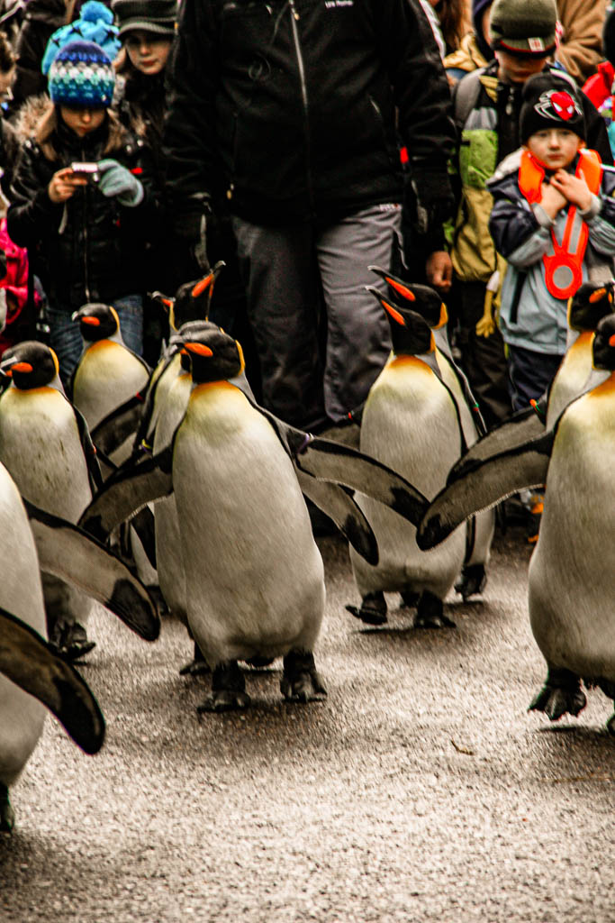 Zurique_Suiça_amamosviajar -031