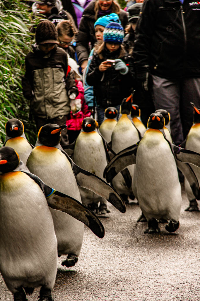 Zurique_Suiça_amamosviajar -032