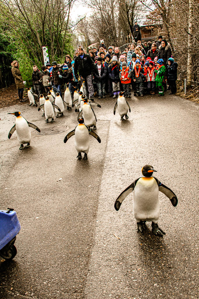 Zurique_Suiça_amamosviajar -034