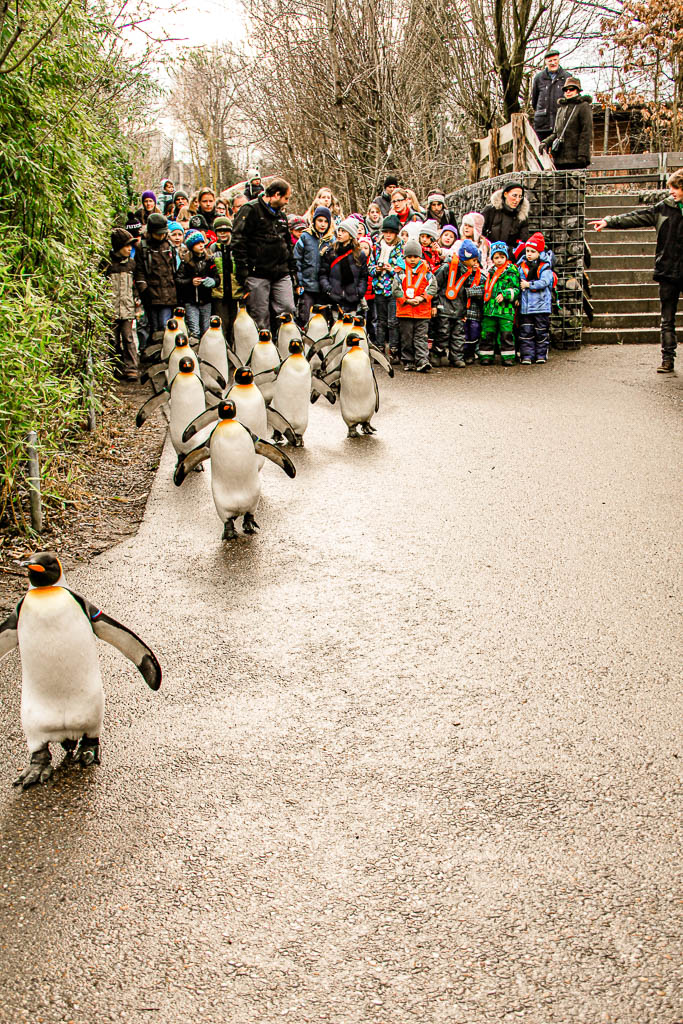 Zurique_Suiça_amamosviajar -035