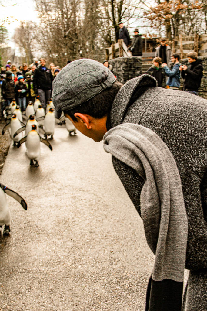 Zurique_Suiça_amamosviajar -036