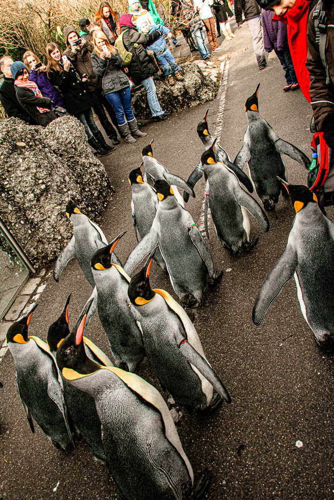 Zurique_Suiça_amamosviajar -039