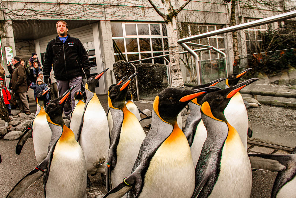 Zurique_Suiça_amamosviajar -040