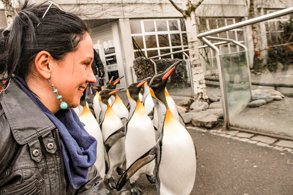 Zurique_Suiça_amamosviajar -041