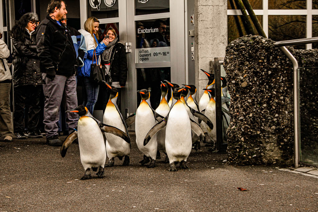 Zurique_Suiça_amamosviajar -043