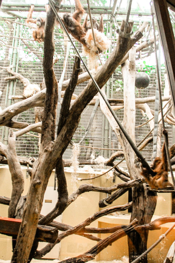 Zurique_Suiça_amamosviajar -056