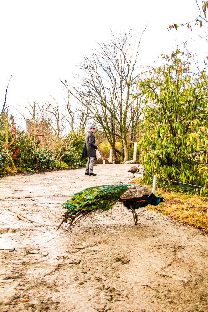 Zurique_Suiça_amamosviajar -057