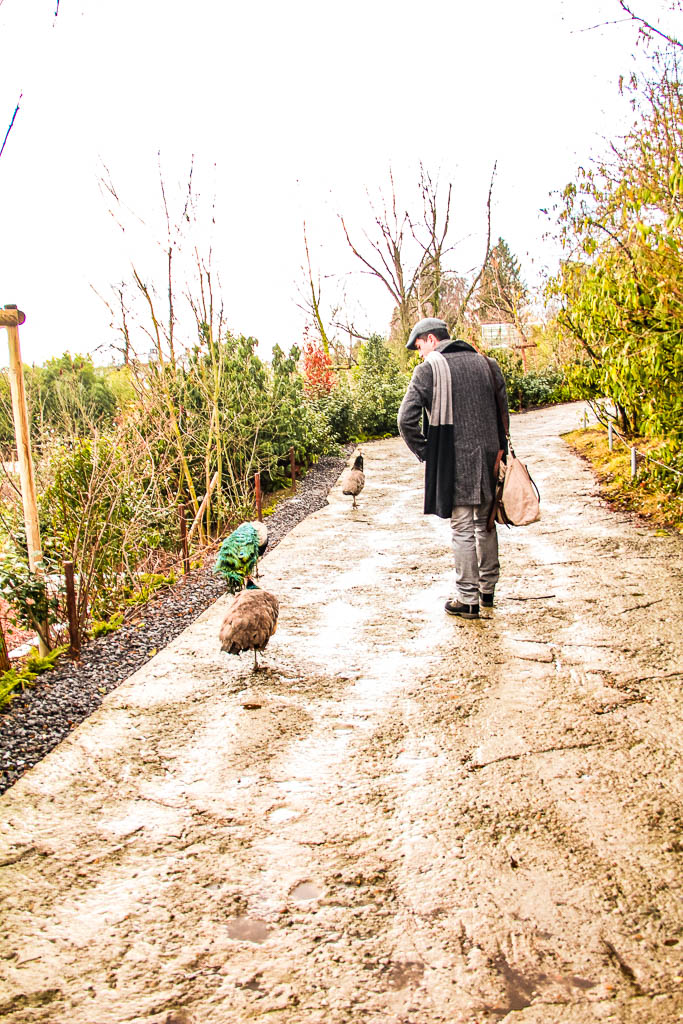 Zurique_Suiça_amamosviajar -058