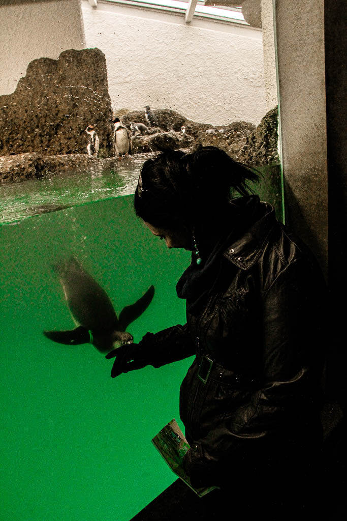 Zurique_Suiça_amamosviajar -064