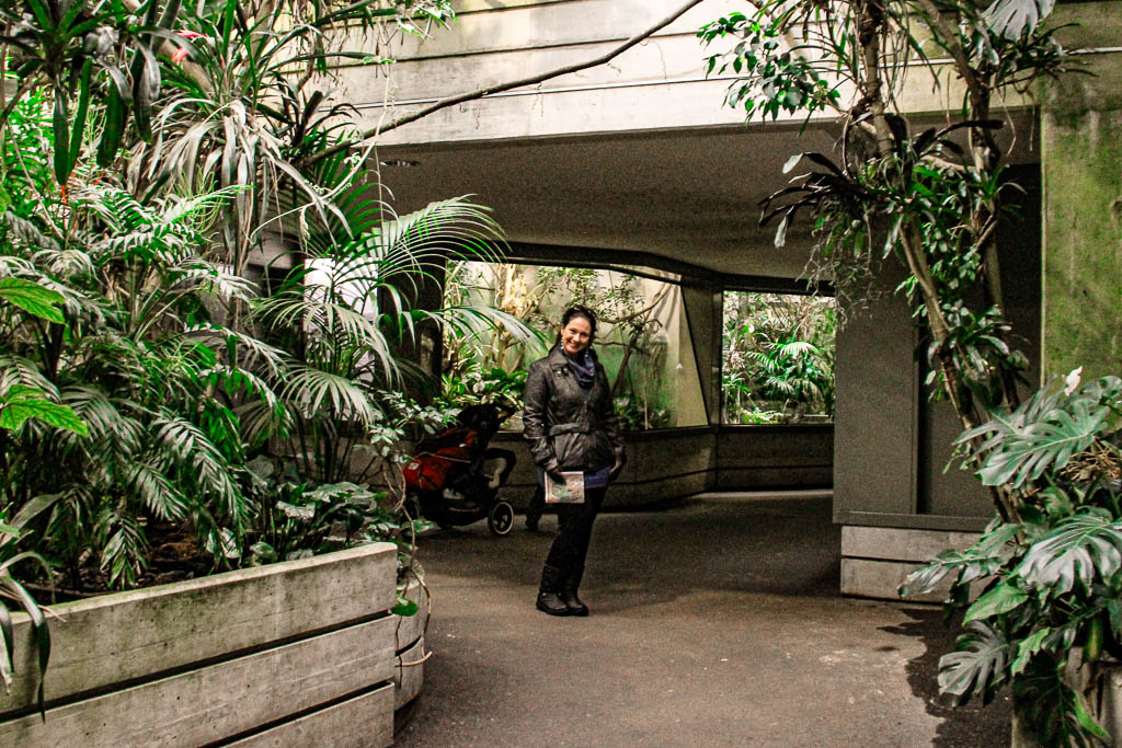 Zurique Suica amamosviajar 083