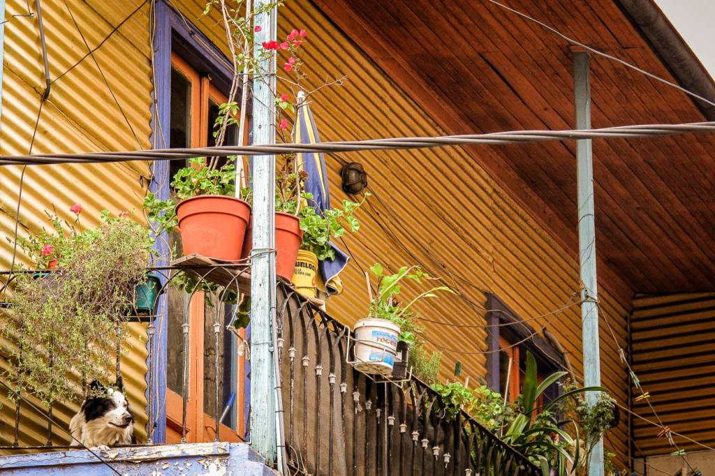 Buenos Aires Argentina amamosviajar 126