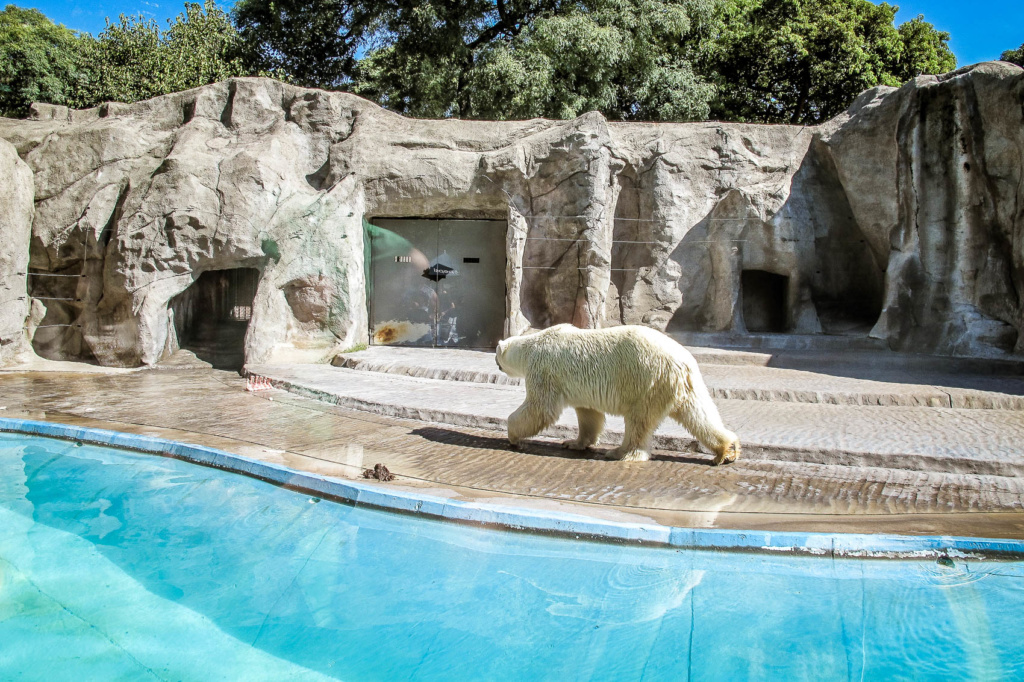 Buenos Aires Argentina amamosviajar 172