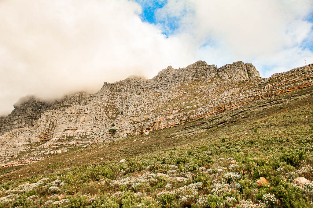 Cape_Town_Africa_amamosviajar -039