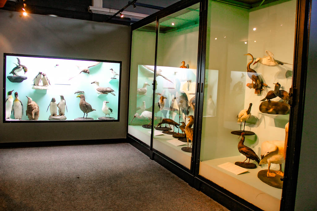 Cape_Town_Africa_amamosviajar -081