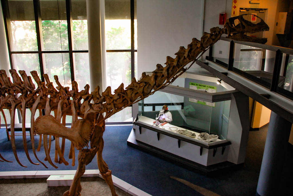 Cape_Town_Africa_amamosviajar -085