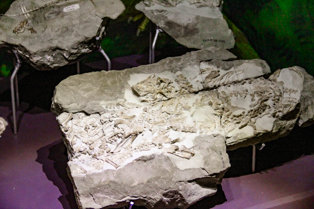 Cape_Town_Africa_amamosviajar -087