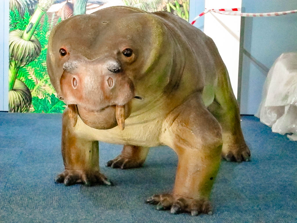 Cape_Town_Africa_amamosviajar -088