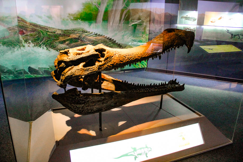 Cape_Town_Africa_amamosviajar -089